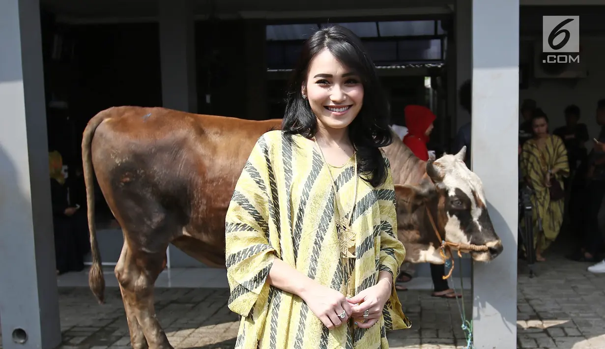 Penyanyi dangdut Ayu Ting Ting berpose di dekat sapi hewan kurbannya sebelum di potong di kediamannya kawasan Depok (1/9). Ayu mengurbankan tiga ekor sapi yang memiliki berat masing-masing seberat 800 kilogram atau 0,8 ton. (Liputan6.com/Herman Zakharia)