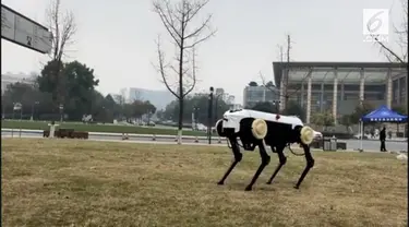 Bukan hanya mengangkat beban hingga 20 kg, robot anjing ini juga bisa melompat dan memanjat tangga.