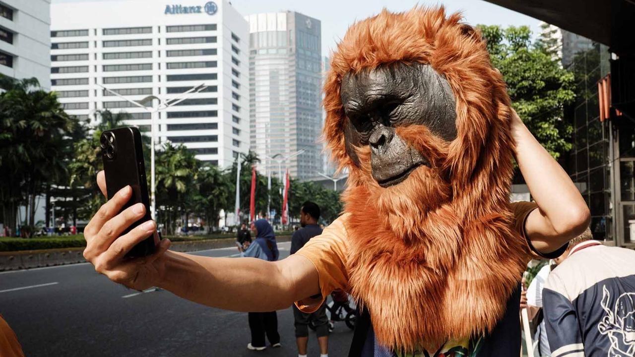 FOTO: Gowes Berkostum Orangutan di Jakarta, Seruan untuk Selamatkan Habitat Satwa Langka
