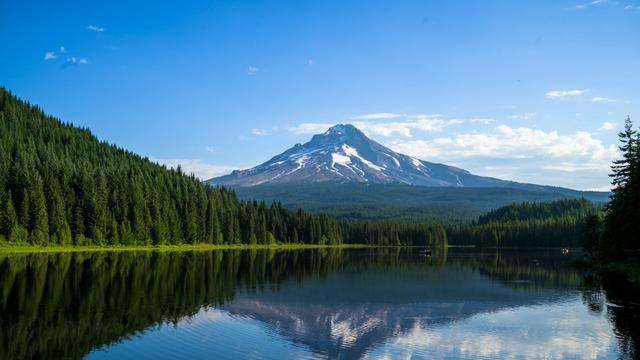 Mt. Hood National Forest