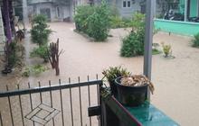BPBD Babel Siaga Bencana Gabungan Antisipasi Banjir dan Angin Kencang hingga Februari 2026