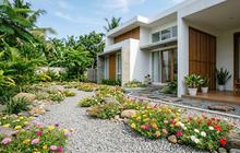 10 Tanaman Tahan Panas yang Cocok Dipadukan dengan Gravel Garden
