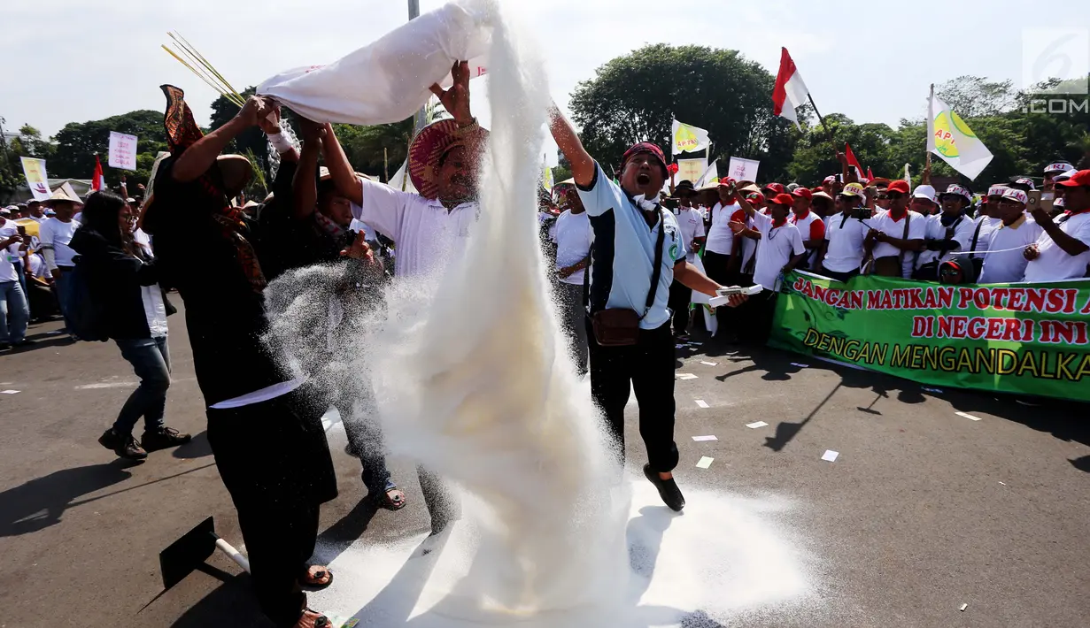 Petani tebu melakukan aksi menebar gula rafinasi saat unjuk rasa di depan Istana Merdeka, Jakarta, Senin (28/8). Aksi itu bentuk ungkapan kekecewaan terhadap sikap pemerintah yang masih membiarkan gula impor merembes di pasaran (Liputan6.com/Angga Yuniar)