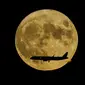Supermoon—juga disebut bulan sturgeon—terbit saat pesawat jet mendekati bandara Internasional John F. Kennedy, di New York, Kamis (11/8/2022). Bulan Purnama Agustus 2022 akan menjadi fenomena Supermoon terakhir tahun ini. Bulan Purnama Agustus dijuluki "Sturgeon Moon". (AP Photo/Bebeto Matthews)