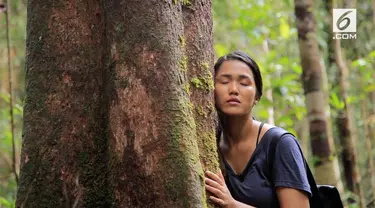 Perjalanan di kawasan Danau Sentarum terus berlanjut. Kali ini kita bakal mencoba madu hutan, dan juga mendengar suara pohon di hutan. Kok bisa pohon bersuara?