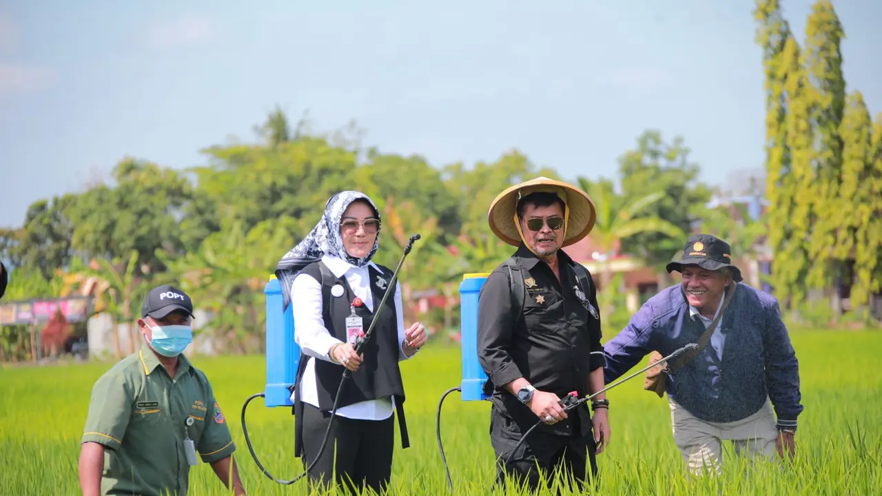 Bantu Petani Klaten Hadapi Hama WBC, Mental SYL Salurkan Bantuan Pestisida Ramah Lingkungan
