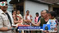 Marak Teror Ular, Komunitas Pecinta Reptil Lakukan Sosialisasi Tentang Ular. sumberfoto: Indosiar