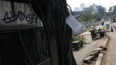 Penanda berlogo Pemprov DKI Jakarta terlihat di salah satu pohon yang akan direvitalisasi di Kawasan Kemang, Jakarta, Sabtu (9/11/2019). Sejumlah pohon akan direvitalisasi dan ditebang karena beberapa alasan salah satunya, posisinya dianggap merusak saluran. (Liputan6.com/Helmi Fithriansyah)