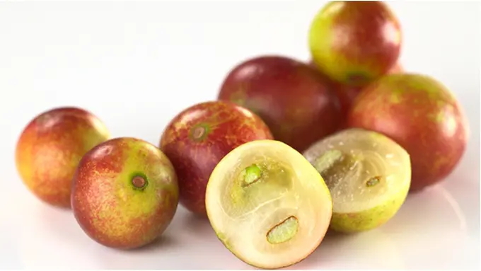 Courtesy ShutterStock.com