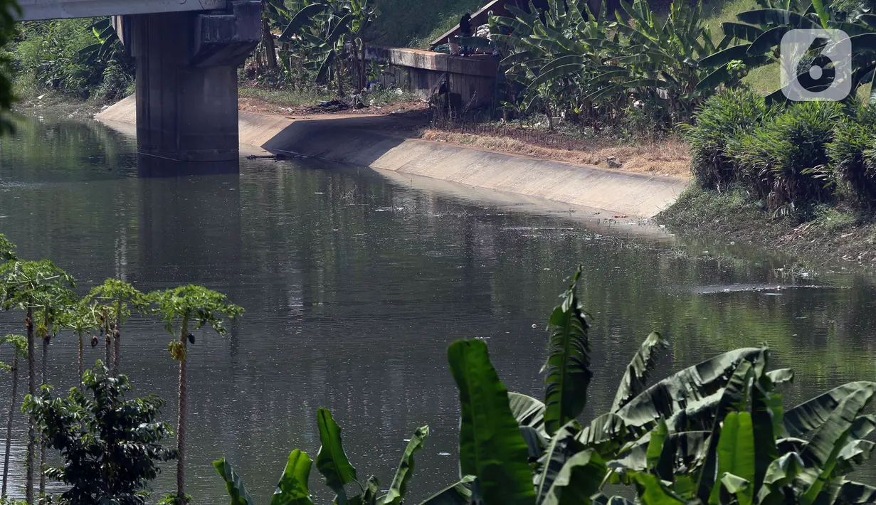 "Jadi ya dari segi nasional merata dan itu yang berkontribusi pada mengeringnya sungai-sungai atau kalau tidak mengering mungkin alirannya sangat kecil," jelasnya. (Liputan6.com/Herman Zakharia)