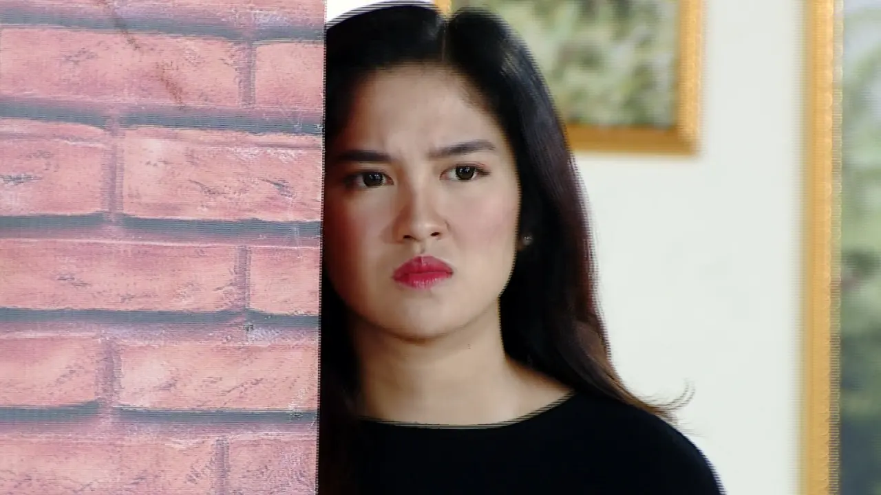 Buku Harian Seorang Istri