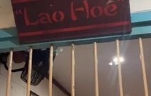 Potret Warung Makan 'Lansia' di Jakarta, Pemilik dan Pelayannya Berusia Lanjut