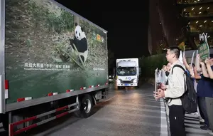 2 Panda Raksasa dari China, Ping Ping dan Fu Shuang, Tiba di AS