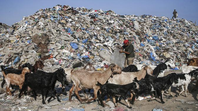 Para pengumpul sampah Palestina mencari sampah di tempat pembuangan sampah di Kota Gaza (29/7/2019). Kemiskinan yang terjadi akibat blokade Israel dan kurangnya kesempatan kerja membuat beberapa warga Palestina memilih bekerja mencari sampah untuk dijual. (AFP Photo/Mohammed)