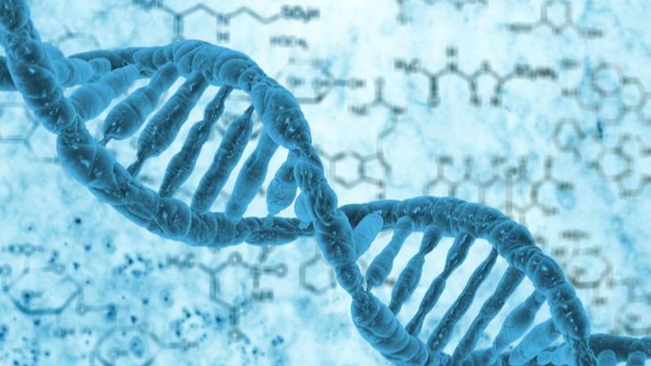 Tes DNA dilakukan untuk membuktikan ada tidaknya anak tertukar antara pasien B dengan Siti Mauliah di RS Sentosa sejak setahun lalu.