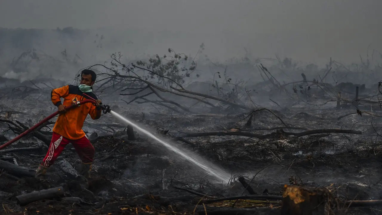 Perjuangan Petugas Padamkan Kebakaran Hutan Riau