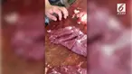 Rekaman menyeramkan daging sapi yang telah dipotong masih bisa bergerak