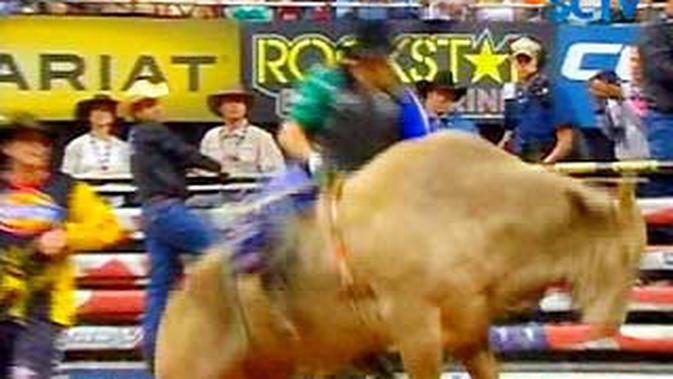 Banteng Ngamuk, 30 Orang Terluka - Global Liputan6.com