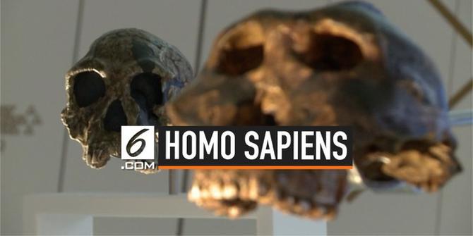 VIDEO: Peneliti Temukan Bukti Keberadaan Homo Sapiens Awal