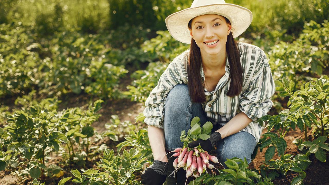 7 Manfaat Berkebun bagi Fisik dan Mental, Bisa Bantu Perpanjang Umur dan Jaga Kebugaran