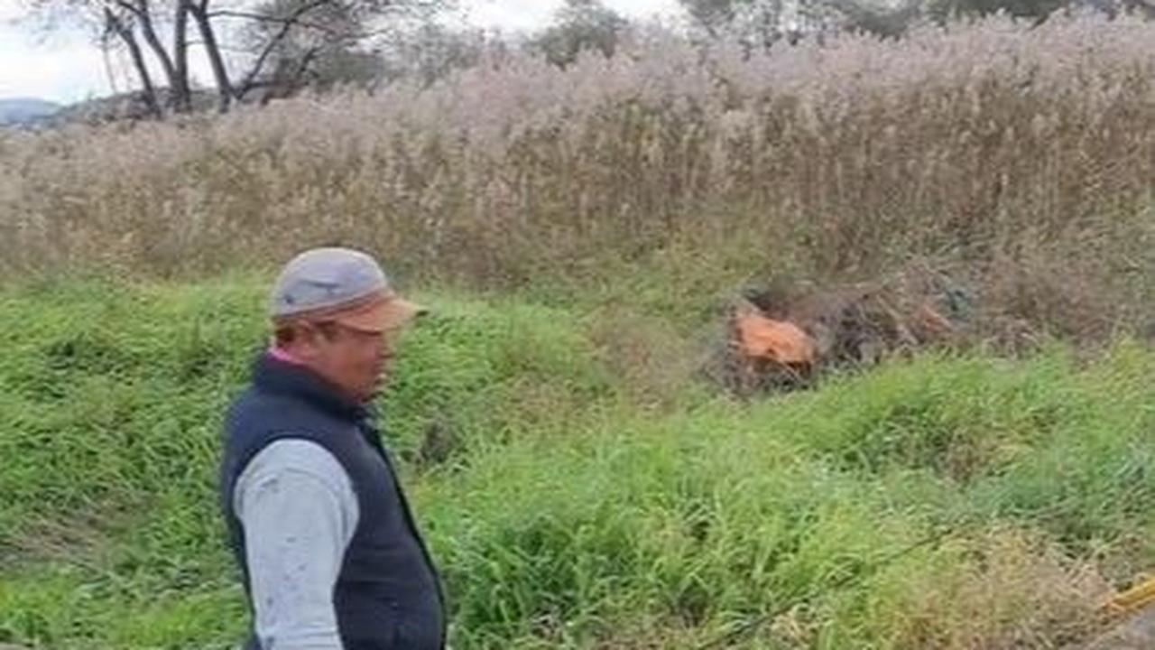 Penemuan Sisik Ular Raksasa Sampai Puluhan Meter yang Bikin Heboh