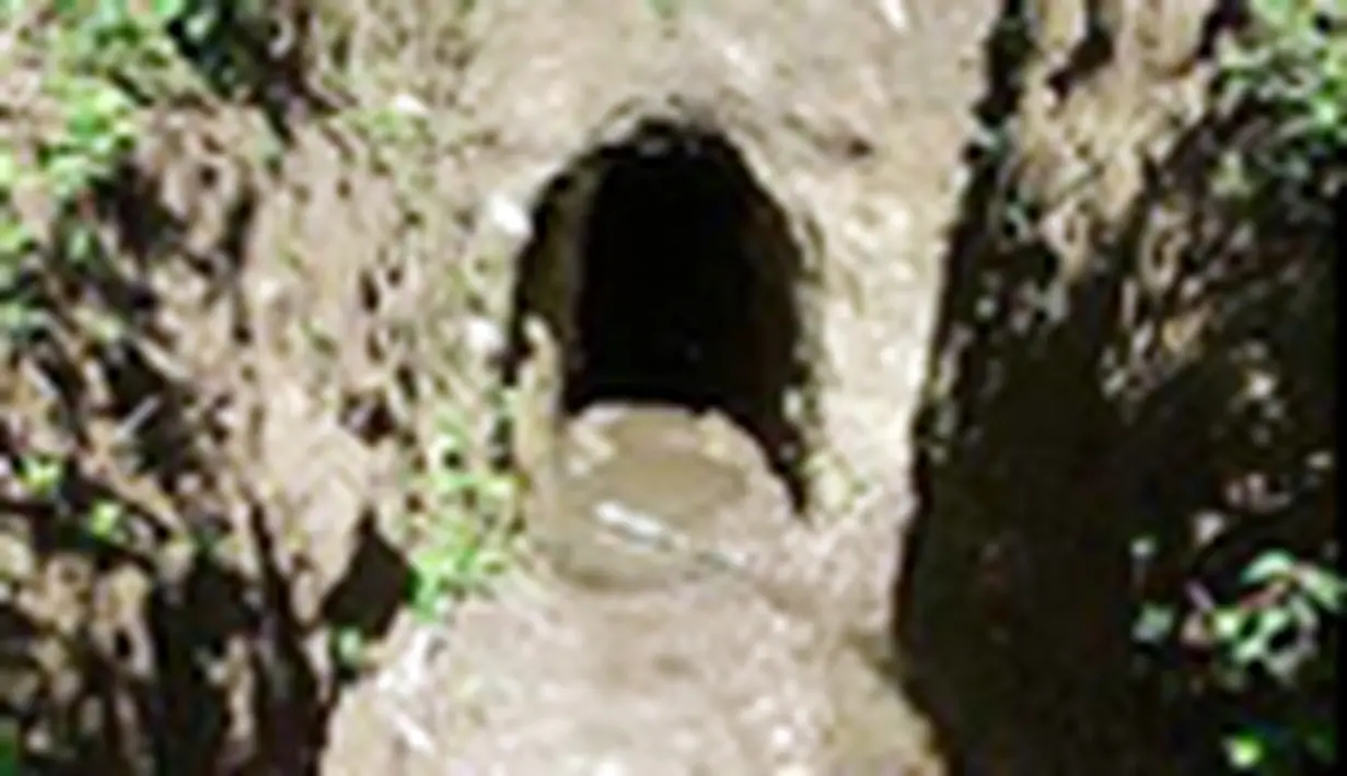 liputan6