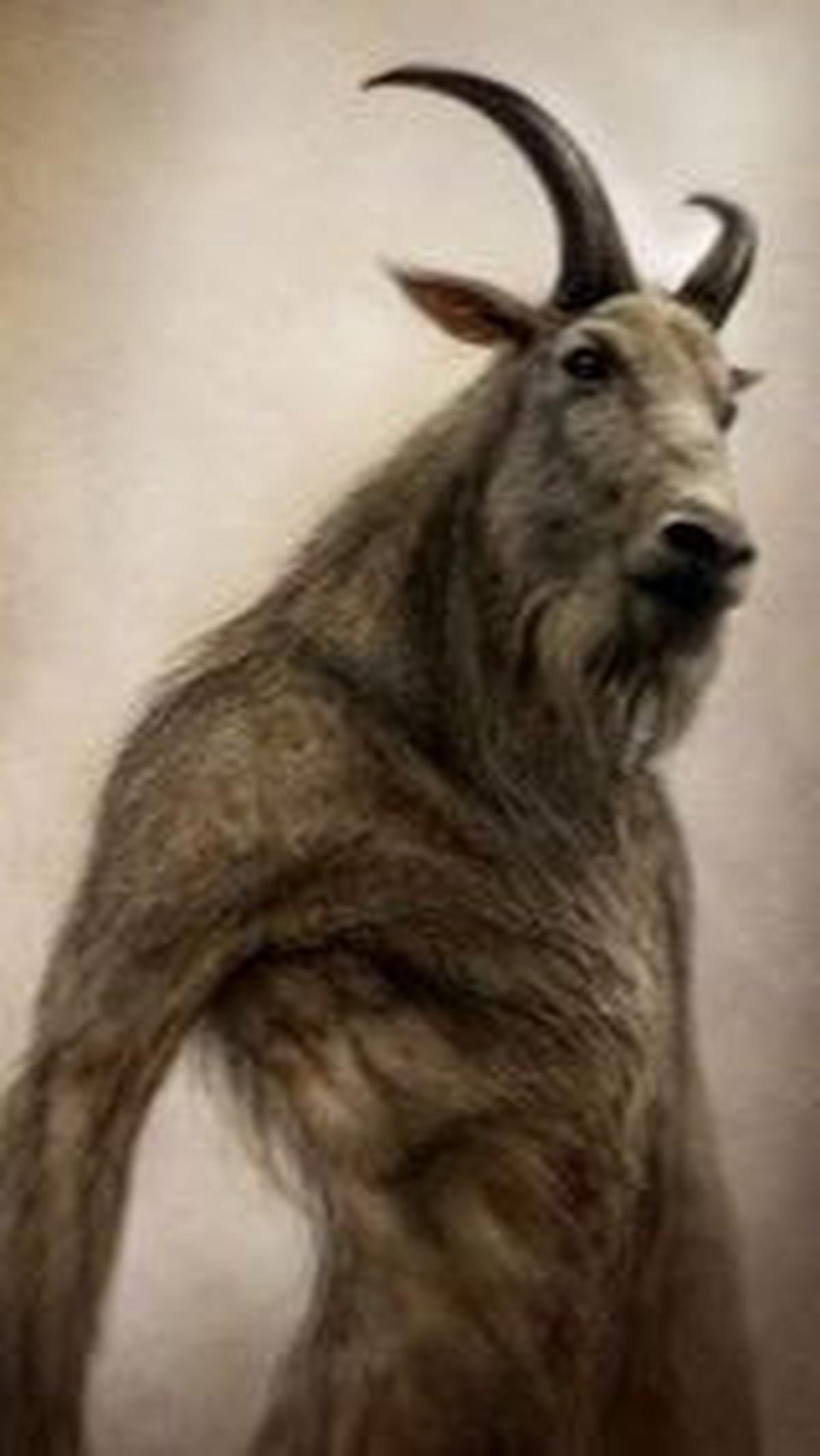 <b>Goatman, Humanoid Kambing</b><br>
