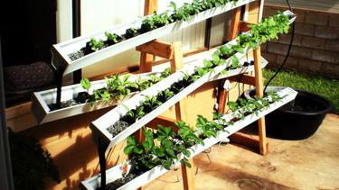 10 Ide Kreatif Manfaatkan Pipa Air Jadi Pot Bunga Taman Fashion Fimela Com