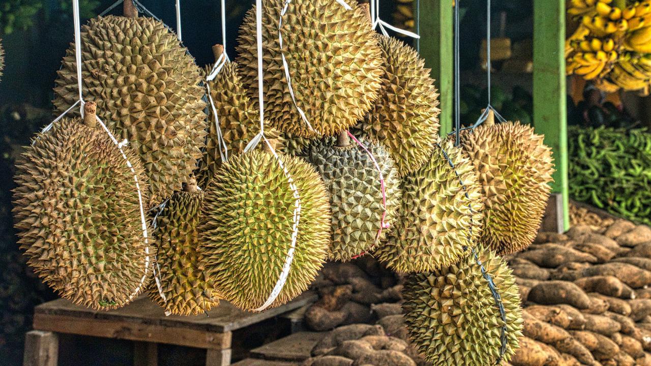 Ekspor Durian RI ke China Terus Naik, Nilainya Tembus Miliaran Rupiah