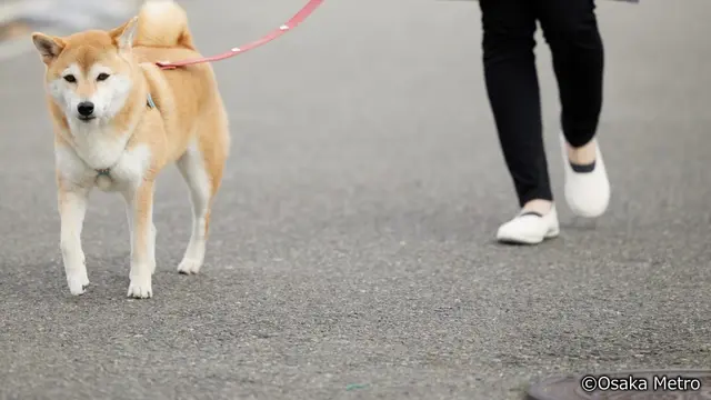 Osaka Metro Hadirkan Merchandise Upcycle, Terbuat dari Bagian Kereta yang Sudah Tak Beroperasi