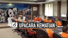 Kebun binatang di Chiang Mai, Thailand menggelar upacara khusus untuk kematian seekor panda. Panda asal China itu mati setelah memakan sebatang bambu.