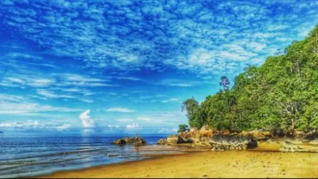 6 Fakta Menarik  Ketapang, Kabupaten Terluas dan Punya Kerajaan Tertua di Kalimantan Barat