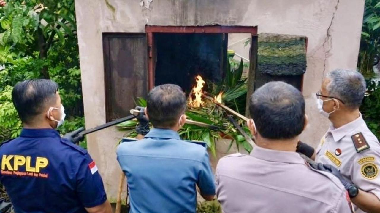 Karantina Kalsel Musnahkan Ribuan Bibit Sawit dan Telur Belangkas Ilegal, Tegaskan Perlindungan Sumber Daya Hayati