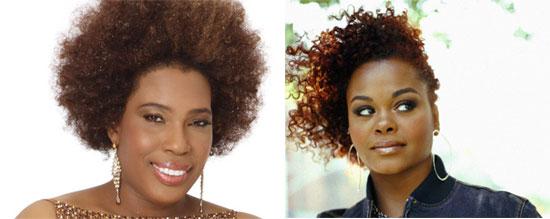 Tipe 1 (Macy Gray) dan Tipe 2 (Jill Scott) (c) 42greendominos