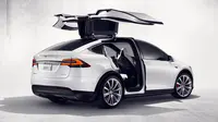 Tesla Model X Signature Series (Foto: Worldcarfans). 
