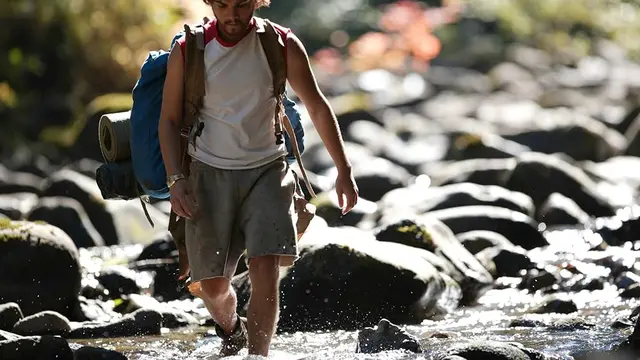 Into the Wild (2007)