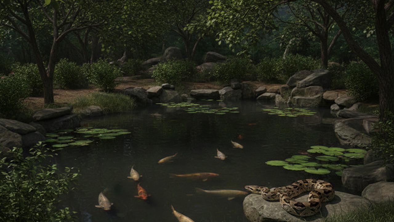 Desain Kolam Ikan yang Terlihat Aman Ini Justru Menarik Ular