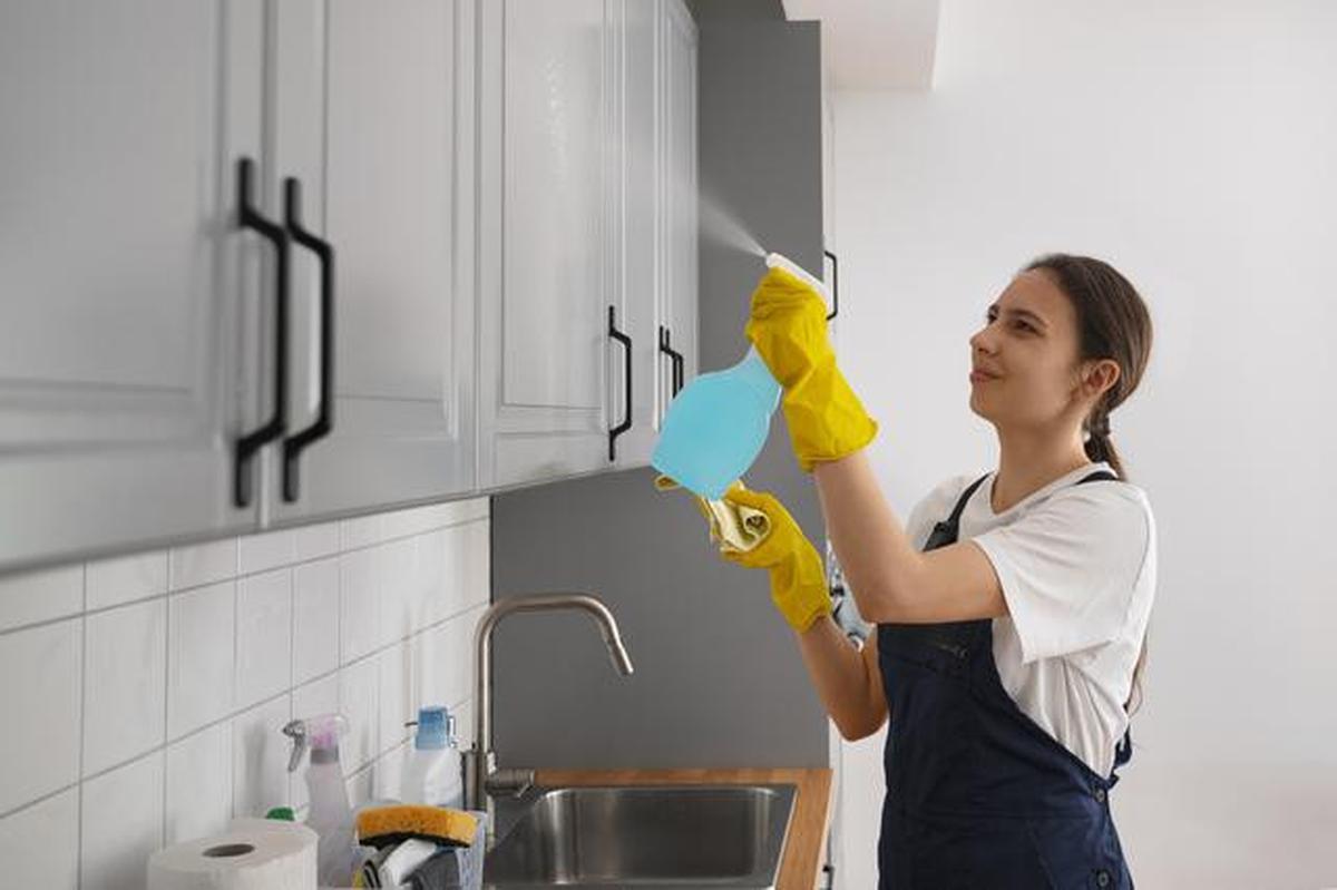 Cara Cegah Tikus Colong Makanan Dapur, Jangan Sampai Masuk Rumah