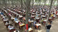 Ratusan mahasiswa di CHina mengikuti ujian di hutan. (Shanghaiist)