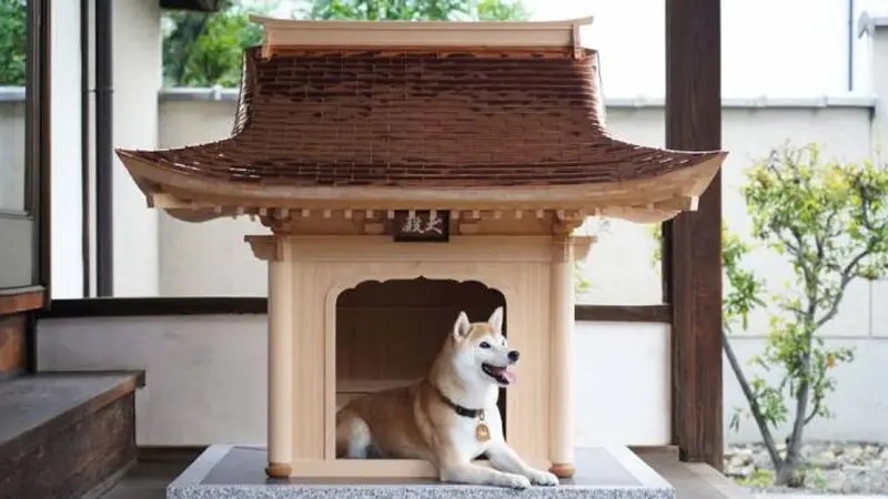 5 Potret Rumah Anjing Berdesain Miniatur Kuil Ini Harganya Ditaksir Capai Rp200 Juta