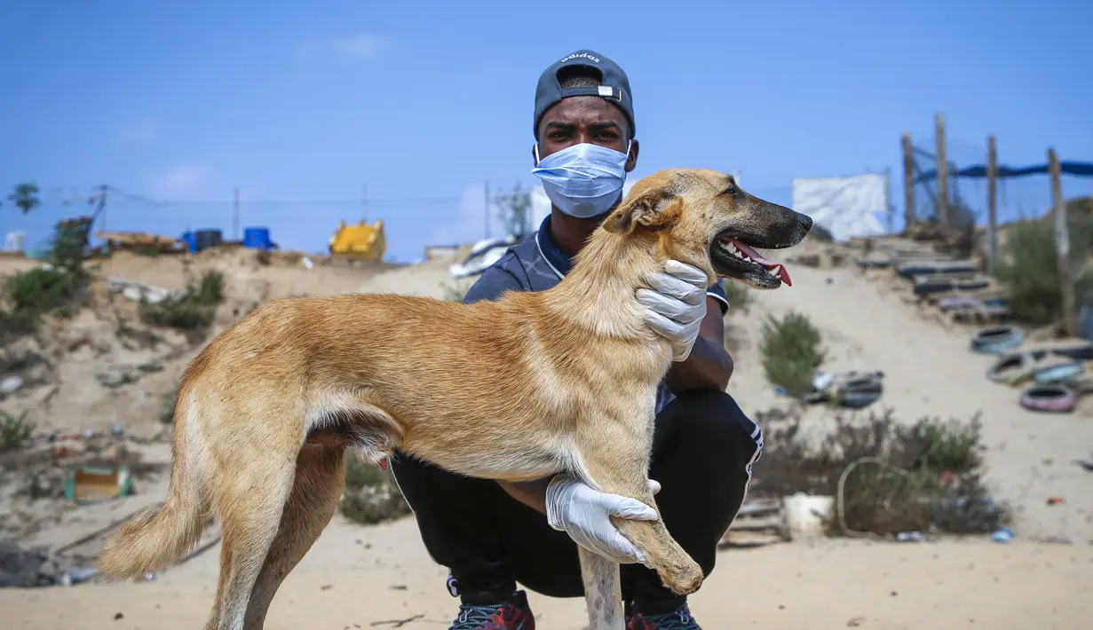 Relawan Palestina di Sula Society for Animal Care Saeed al-Err berfoto bersama Billy, seekor anjing yang diamputasi yang menjalani rehabilitasi di asosiasi penampungan  di Kota Gaza (9/9/2020). (AFP Photo/Mohammed Abed)