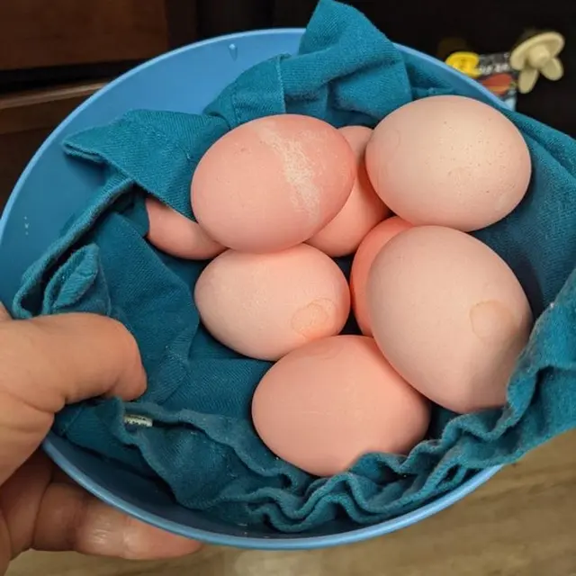 6 Trik Sederhana saat Memasak Ini Kreatif, Dapat Berikan Kemudahan
