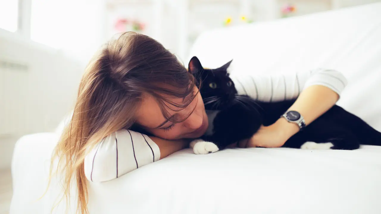 Ilustrasi tidur bersama kucing/Shutterstock