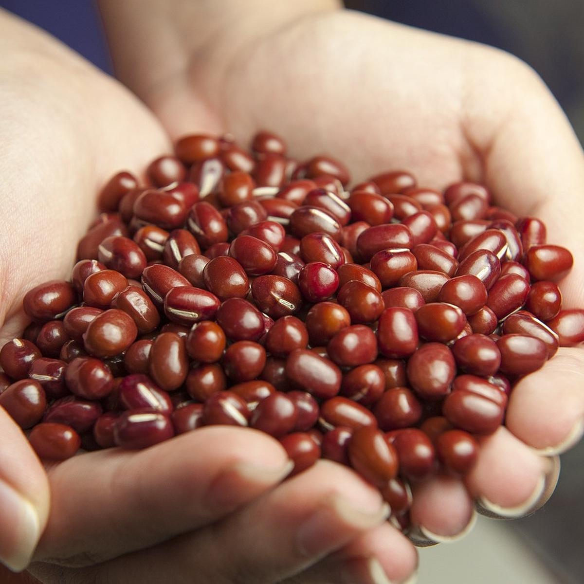 8 Manfaat Kacang Merah untuk Bayi, Menyehatkan Saluran Pencernaan.