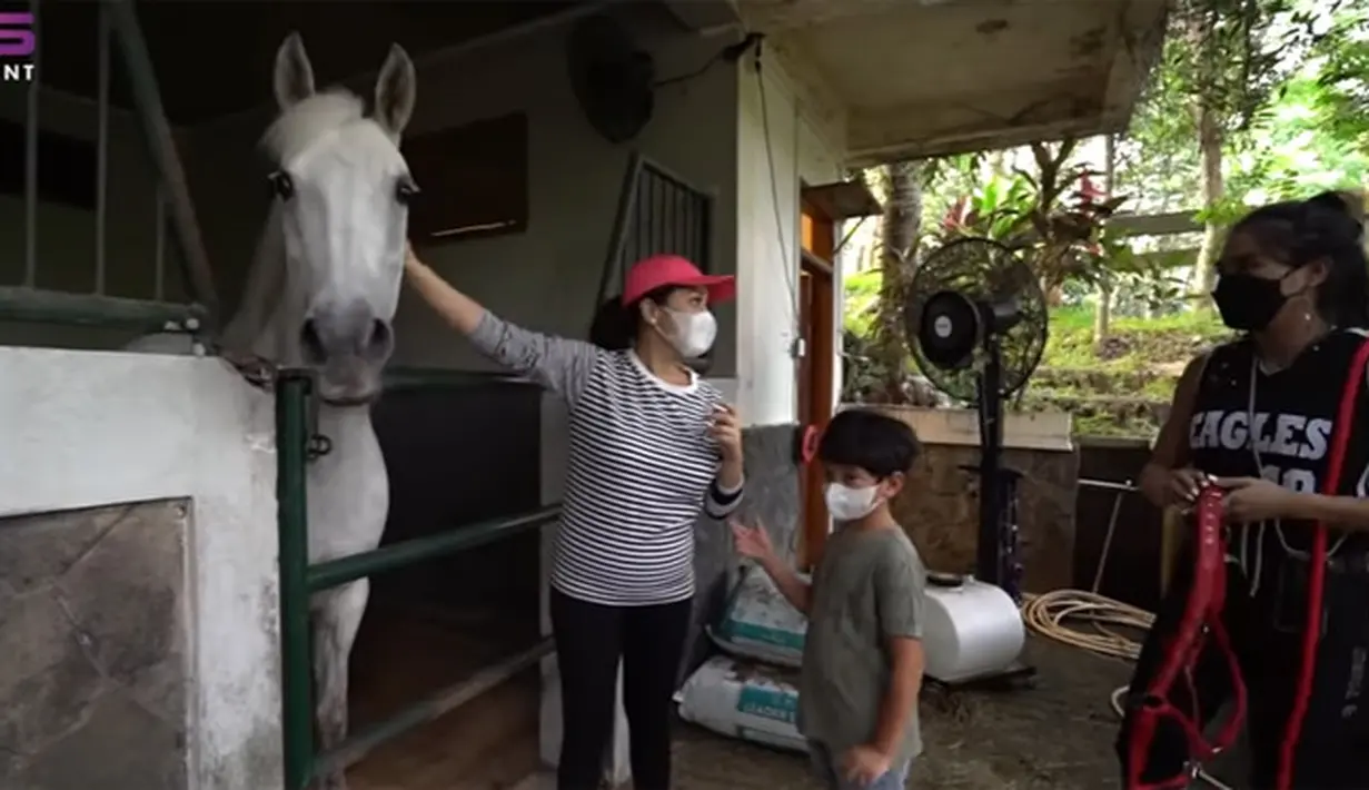 Kuda baru Nagita Slavina (Youtube/ Rans Entertainment)