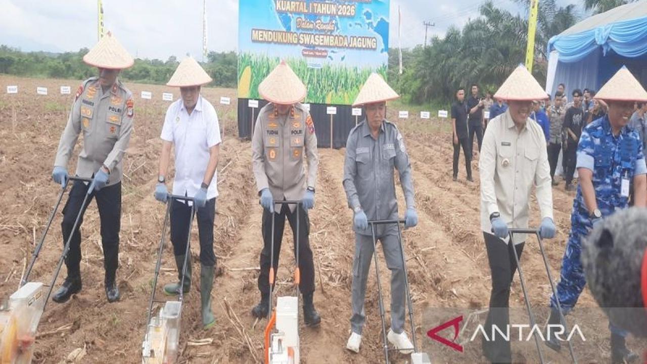 Polda Kalsel Canangkan Potensi Jagung Tanah Laut, Targetkan Swasembada Pangan Nasional