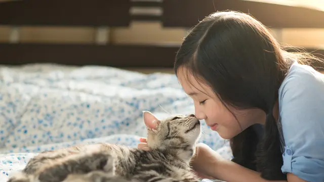 Ilustrasi merawat kucing/Shutterstock.