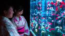 Dua wanita mengenakan kimono melihat ikan mas saat pameran Seni Aquarium di Tokyo, Jepang (10/7/2015). Pameran yang menampilkan ribuan ikan emas di dalam aquarium ini merupakan karya desainer Jepang Hidetomo Kimura. (REUTERS/Thomas Peter)