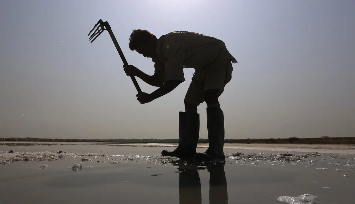 Seorang buruh mengumpulkan garam laut di daerah pesisir dekat Karachi, Pakistan, Sabtu (13/11/2021). Buruh memperoleh rata-rata 1.050 rupee Pakistan (US$ 6) per hari dari pekerjaan mereka untuk mencari nafkah bagi keluarga. (AP Photo/Fareed Khan)
