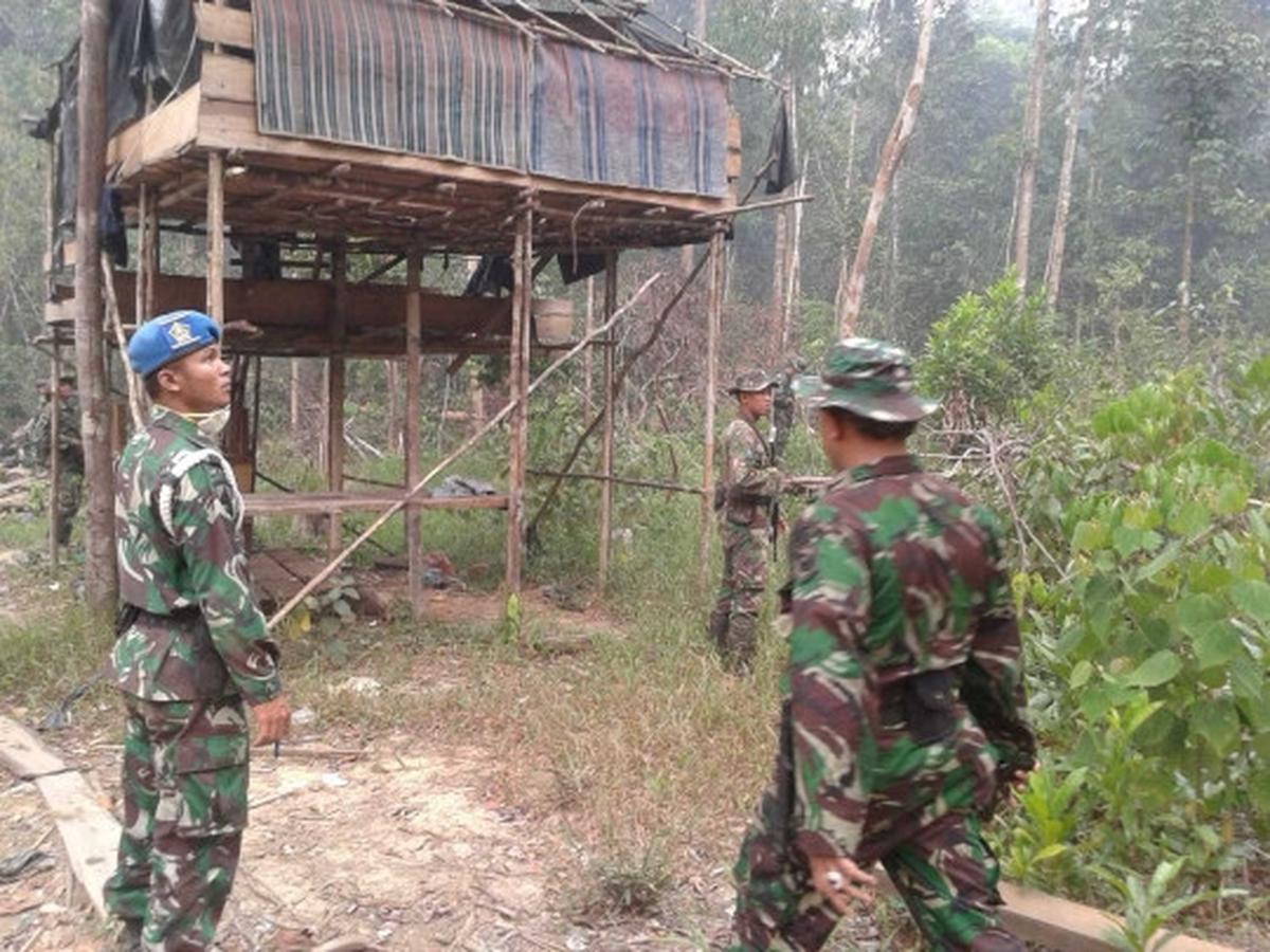 Aksi Marinir gagalkan illegal logging di Taman Nasional Sembilang